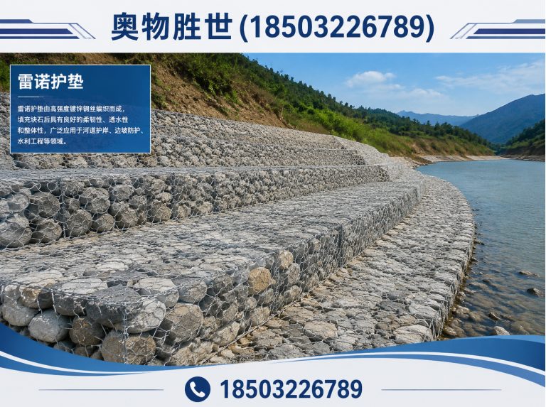 深圳格宾网展示图
